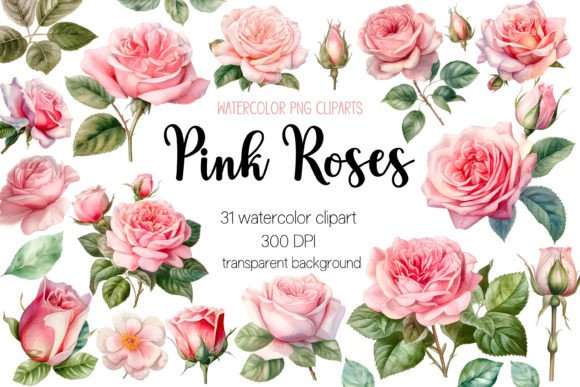 Download Pink Roses Watercolor Clipart Bundle - Roses Collection