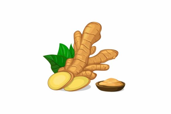 Download Ginger in Slice and Powder Symbol Vector - Vector Collection